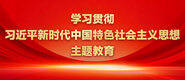 嫩出水逼在线观看学习贯彻习近平新时代中国特色社会主义思想主题教育_fororder_ad-371X160(2)